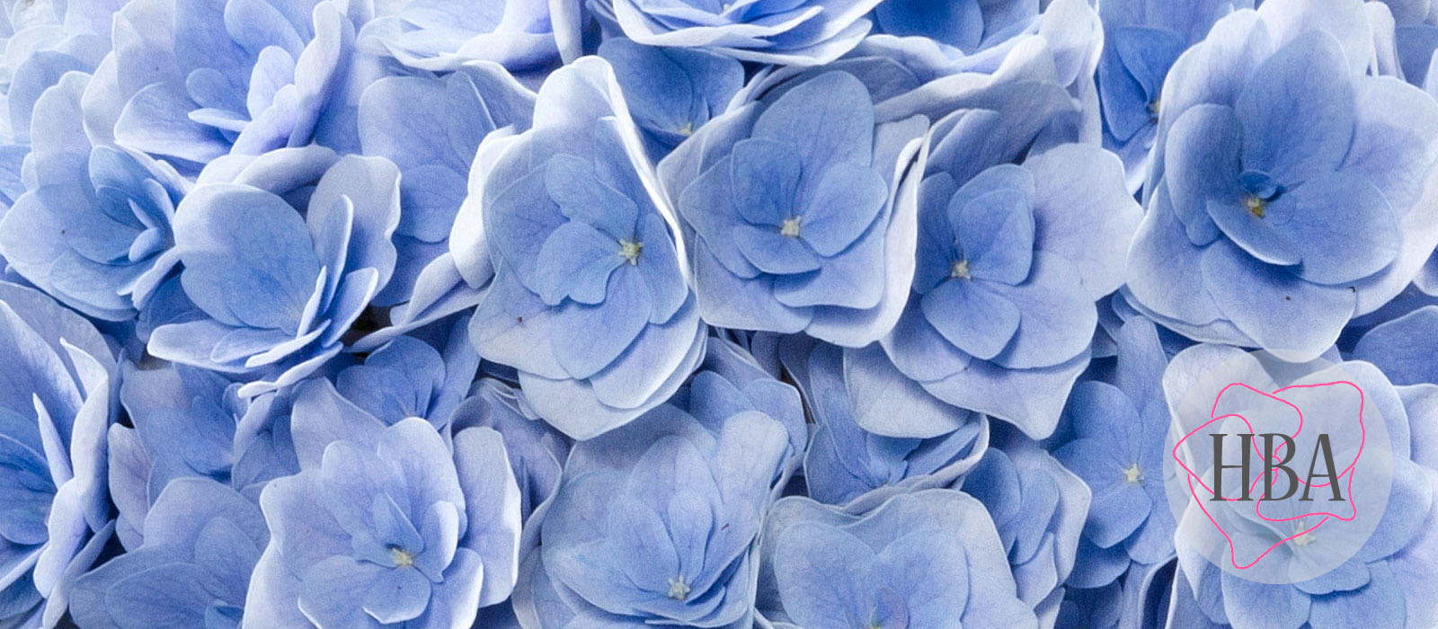 Florentina-H217902-blue-HBA