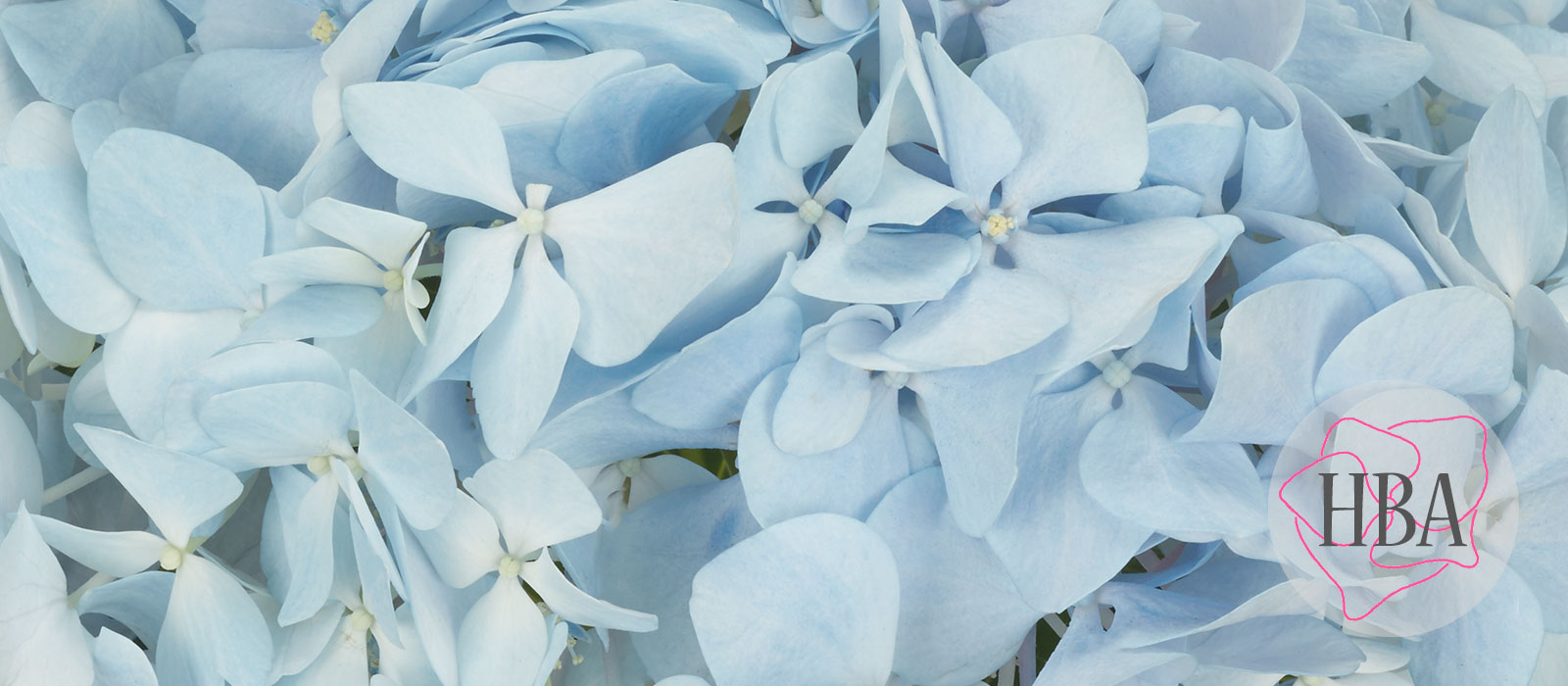 TROPICAL-DREAM-BLUE-H217906-HBA