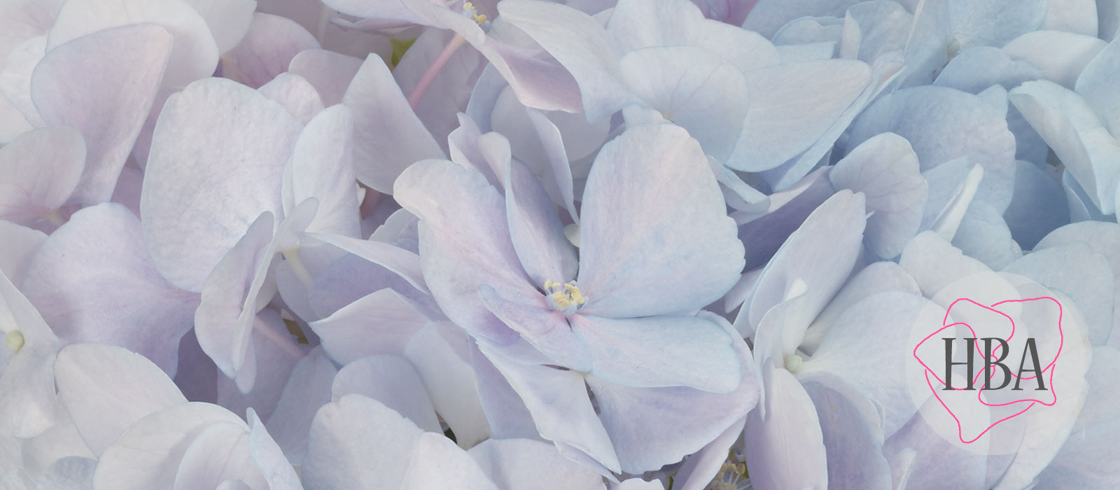 TROPICAL-DREAM-BLUE-PURPLE-H217906-HBA